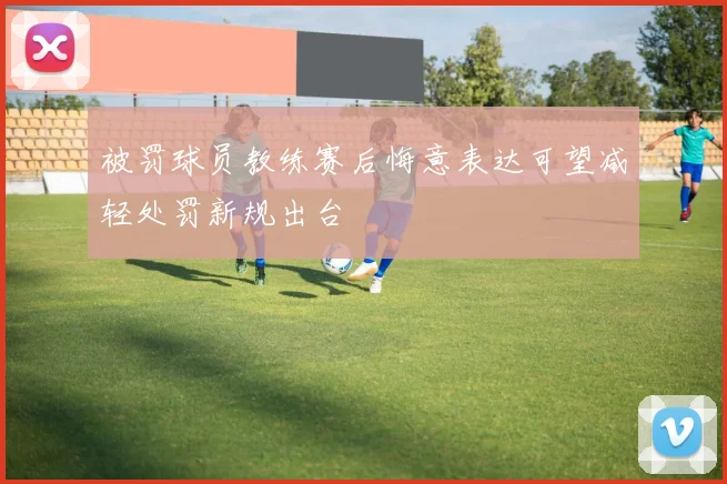 被罚球员教练赛后悔意表达可望减轻处罚新规出台