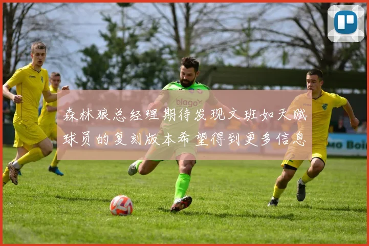 森林狼总经理期待发现文班如天赋球员的复刻版本希望得到更多信息